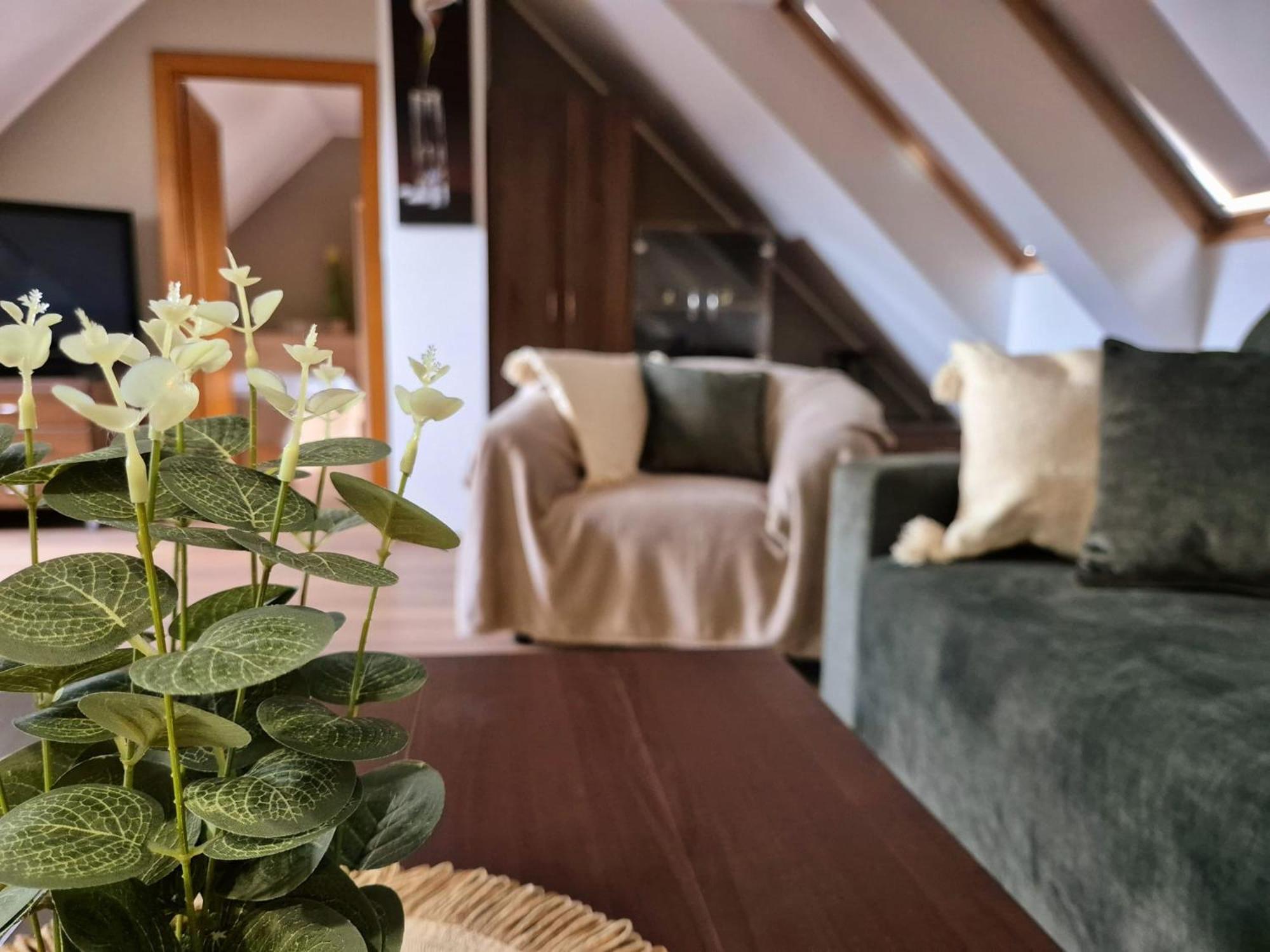 B&B Penzion Magura Bardejov Exterior foto